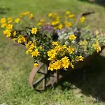 Prázdninový dům Stara Szlifiernia - Dom Na Wylacznosc Sklářská Poruba
