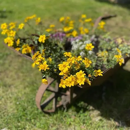 Nyaraló Stara Szlifiernia - Dom Na Wylacznosc Szklarska Poręba