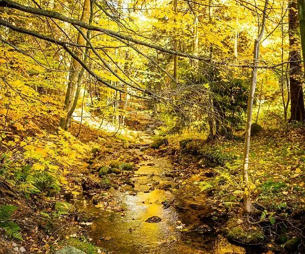 Casa vacanze Stara Szlifiernia - Dom Na Wylacznosc Szklarska Poręba