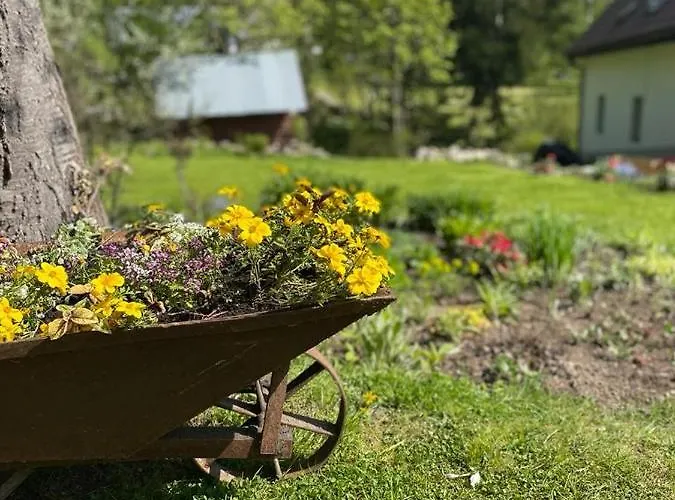 Stara Szlifiernia - Dom Na Wylacznosc