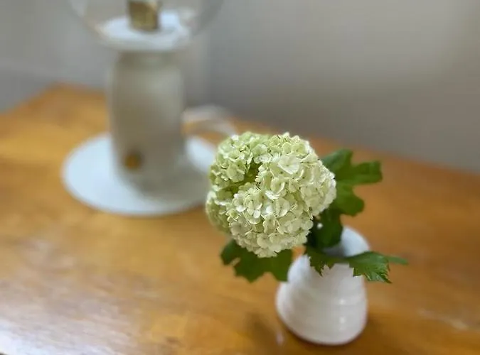 Stara Szlifiernia - Dom Na Wylacznosc Casa vacanze Szklarska Poręba