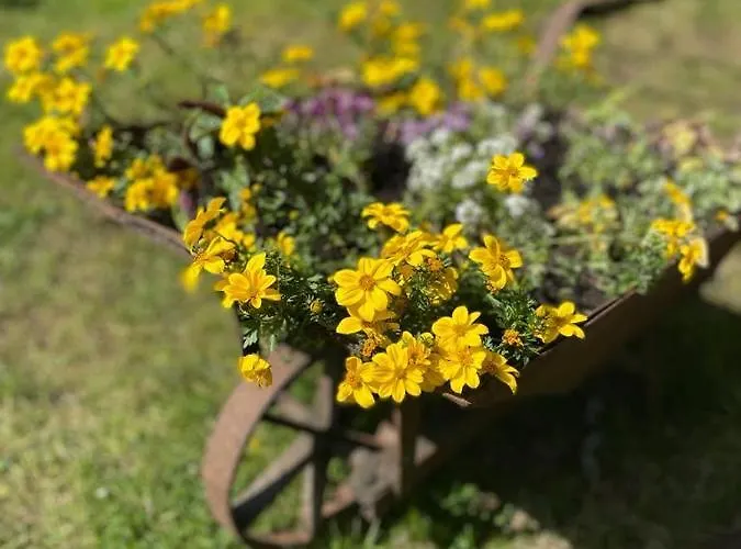 Dom wakacyjny Stara Szlifiernia - Dom Na Wyłączność Szklarska Poręba